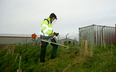 Tractor Training Scotland