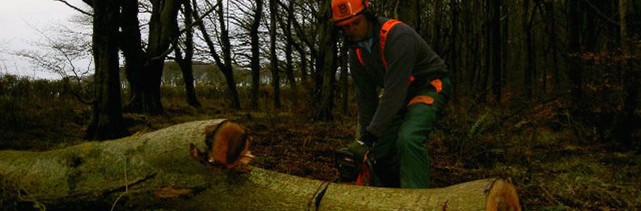 Chainsaw